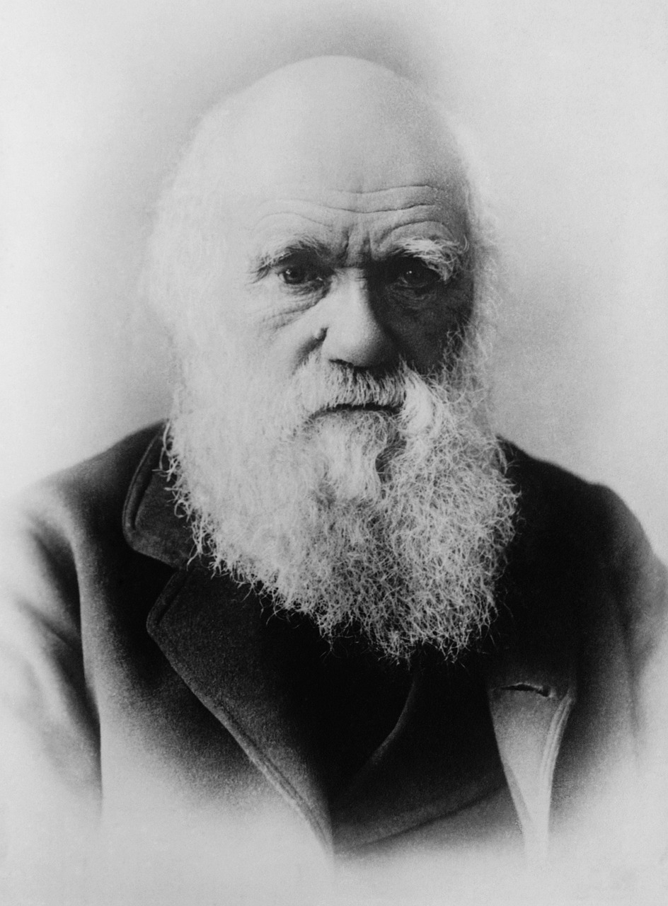 Darwin and His Theories: Navigating the Risks of Artificial Intelligence and Global Challenges